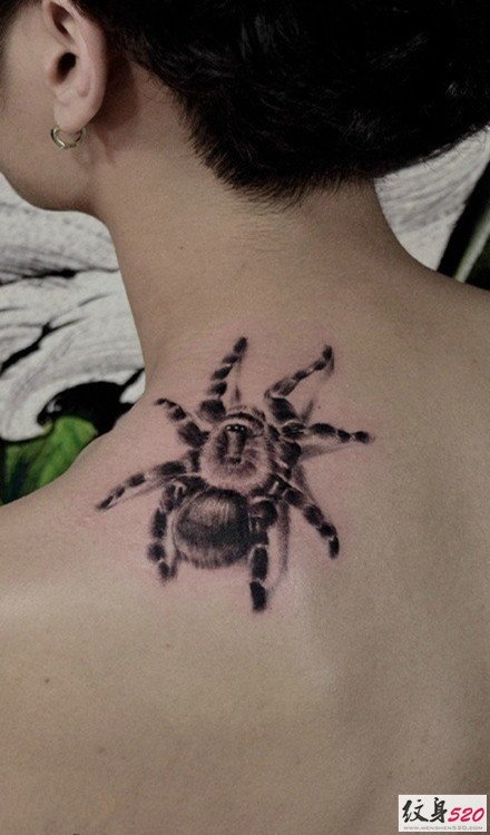 肩部逼真写实的蜘蛛纹身