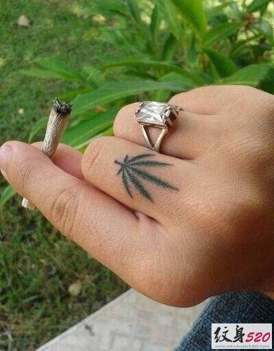 有意境的一片小小的枫叶