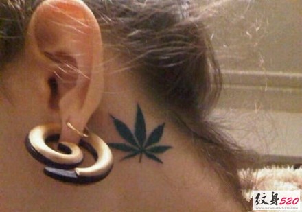 有意境的一片小小的枫叶