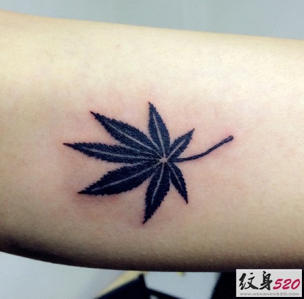 有意境的一片小小的枫叶