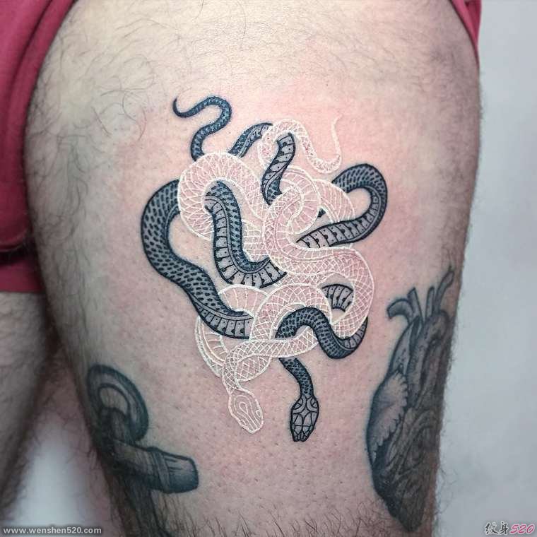 缠绕在一起的黑白色蛇纹身