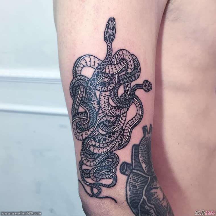 缠绕在一起的黑白色蛇纹身