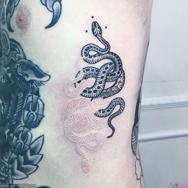 缠绕在一起的黑白色蛇纹身
