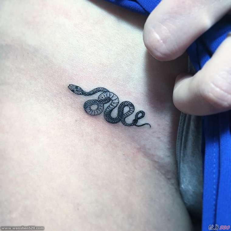 缠绕在一起的黑白色蛇纹身