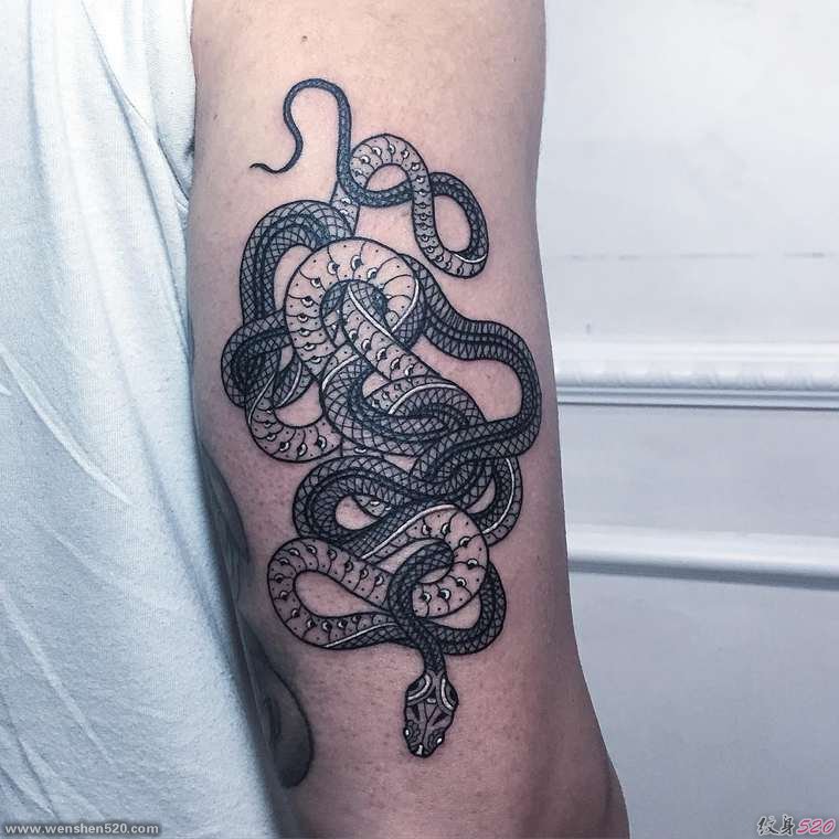缠绕在一起的黑白色蛇纹身