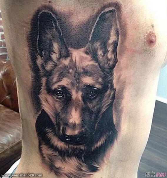 11款德国牧羊犬纹身图案