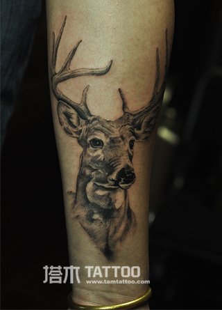 小鹿纹身图案-塔木纹身