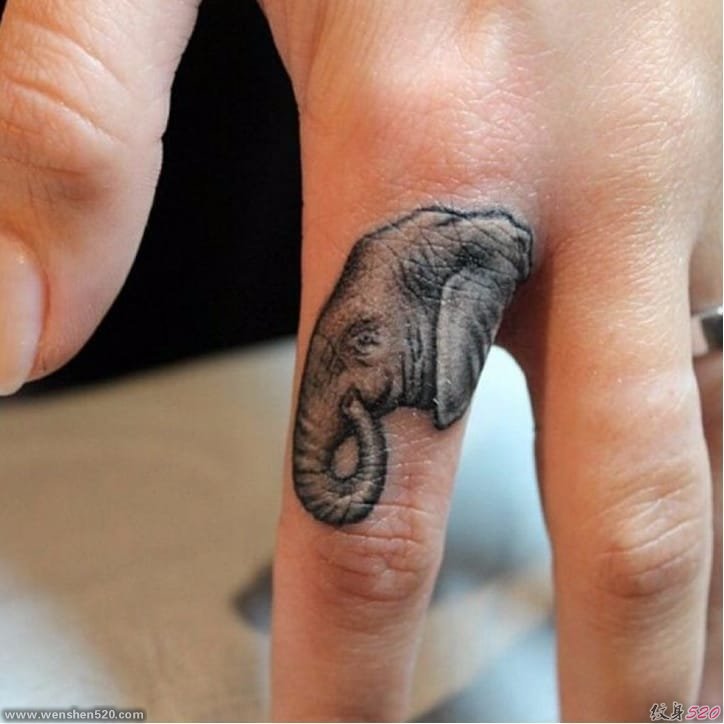 女性身上各种大象图案纹身