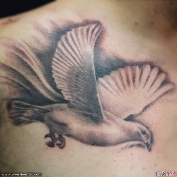 多款展翅飞翔的鸽子纹身图案