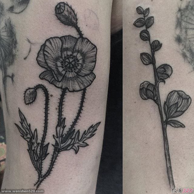 女性身上漂亮黑色花或植物纹身图案