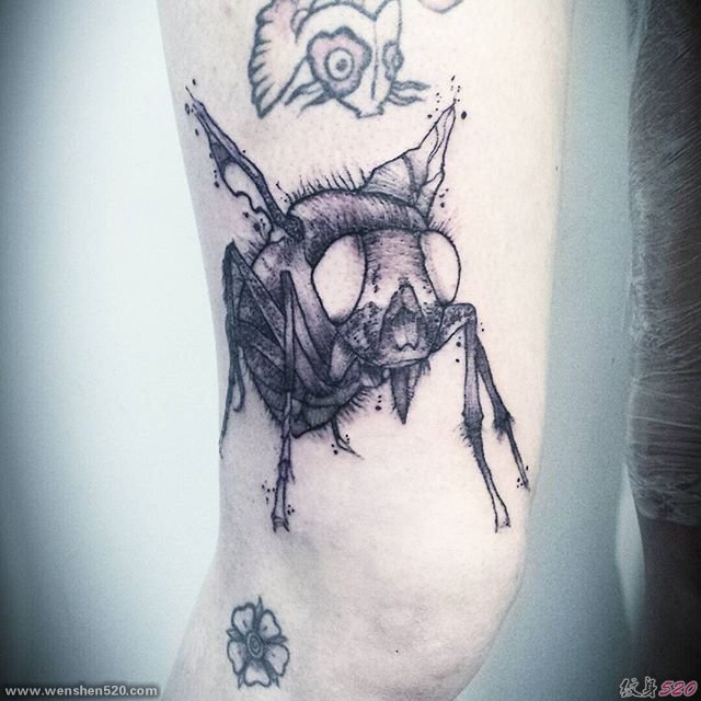 纹身师(Jean Carcass)很凶猛很具说明性的纹身作品