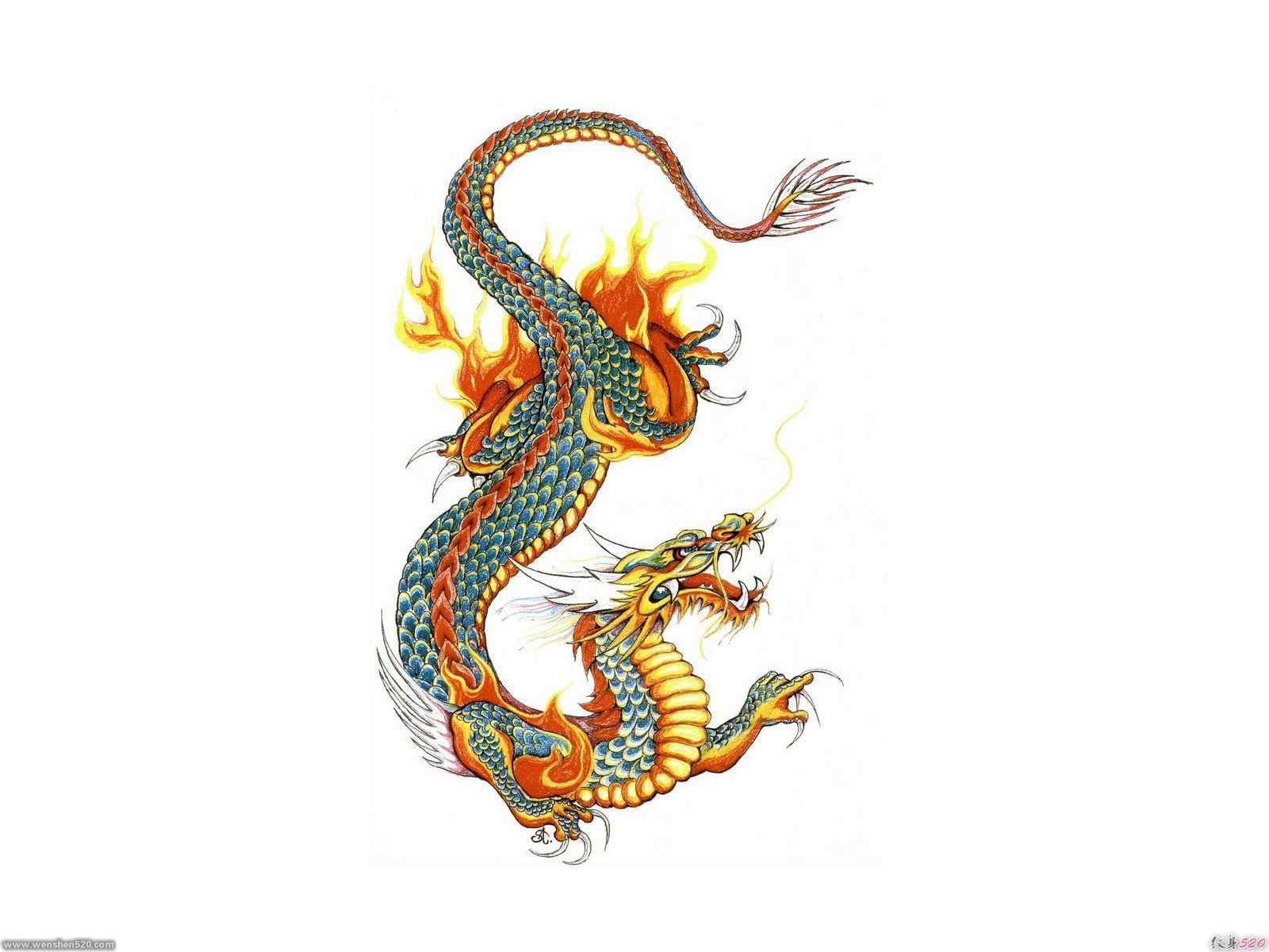 23款漂亮霸气的彩色龙纹身图案手稿