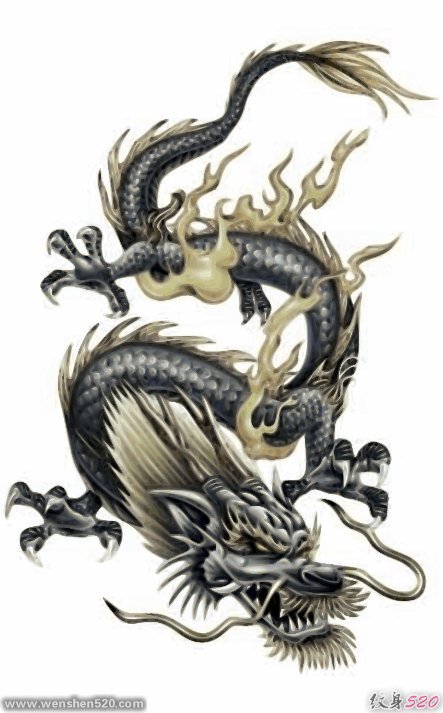 23款漂亮霸气的彩色龙纹身图案手稿