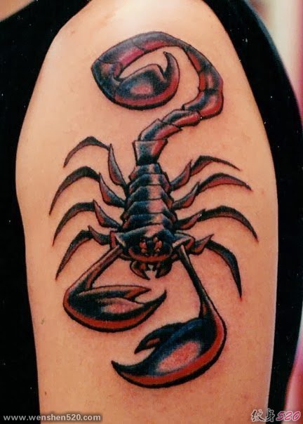 多款毒蝎子图案纹身