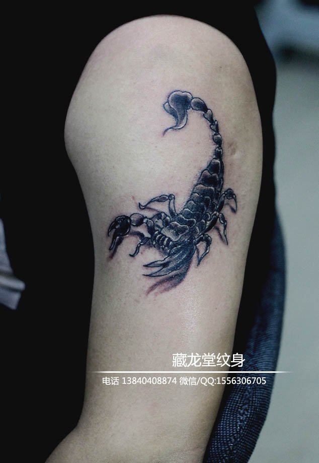 蝎子纹身-沈阳纹身-藏龙堂纹身