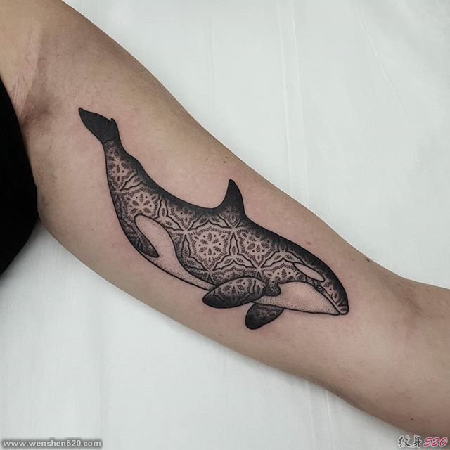 一组非凡的黑色鲸鱼纹身图案