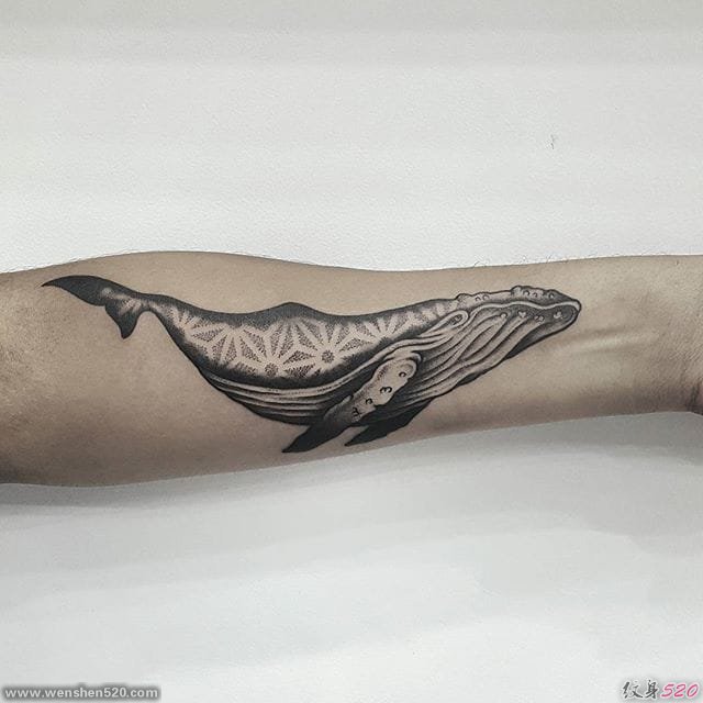 一组非凡的黑色鲸鱼纹身图案