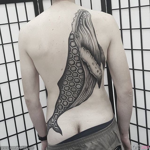 一组非凡的黑色鲸鱼纹身图案