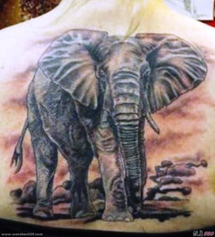 各种各样的大小象纹身图案作品