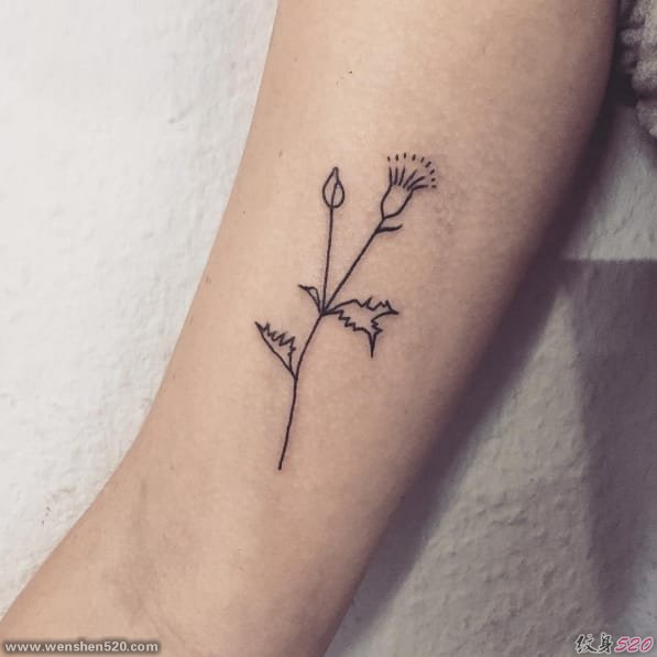 干净清爽的简单线条纹身图案