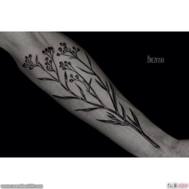 美丽的女性极简主义植物叶纹身图案
