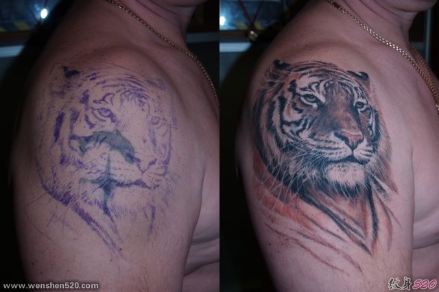 男子肩膀上很棒的虎头覆盖纹身图案