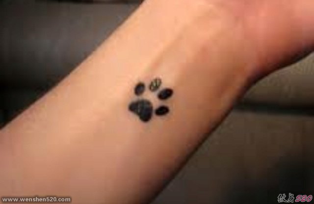 多款可爱的猫爪子印图案纹身