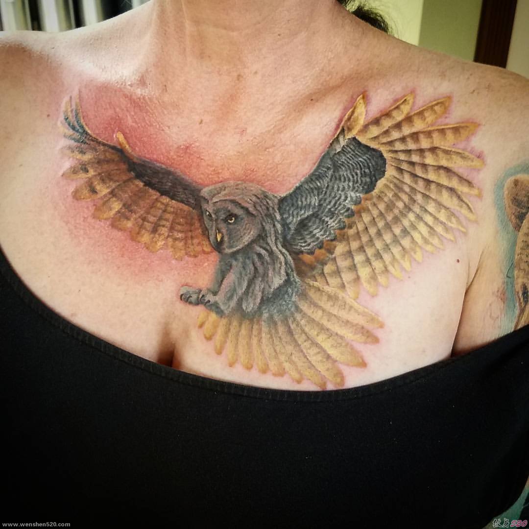女子胸部上逼真的猫头鹰纹身图案