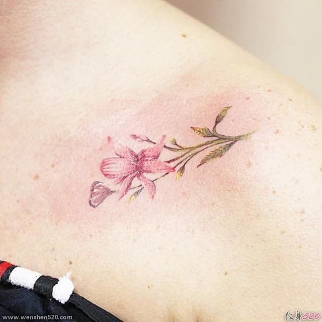 女生喜欢的小清新花朵纹身图案来自路易莎