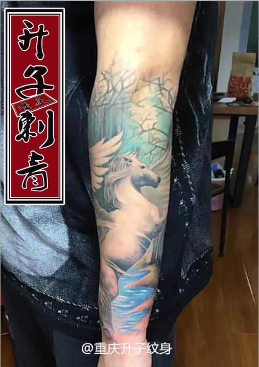 花臂纹身 重庆刺青 #升子纹身# 天马纹身 观音桥专业纹身店