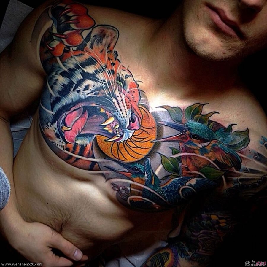 男子满胸鸟和虎纹身图案