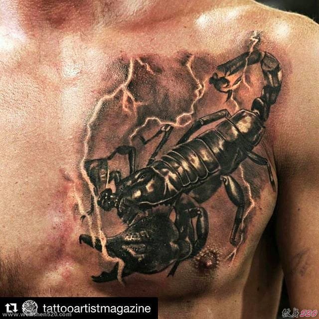 漂亮的黑灰色现实主义风格纹身图案来自Shine