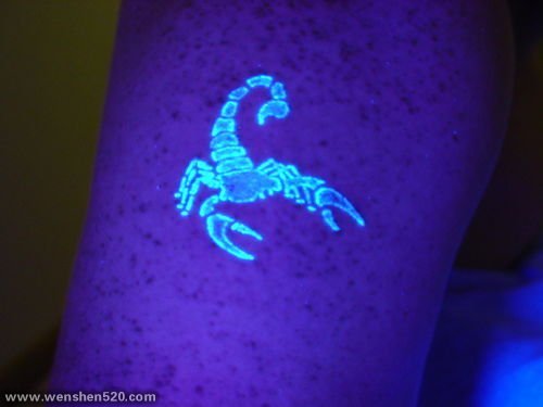 荧光蝎子隐形纹身图案