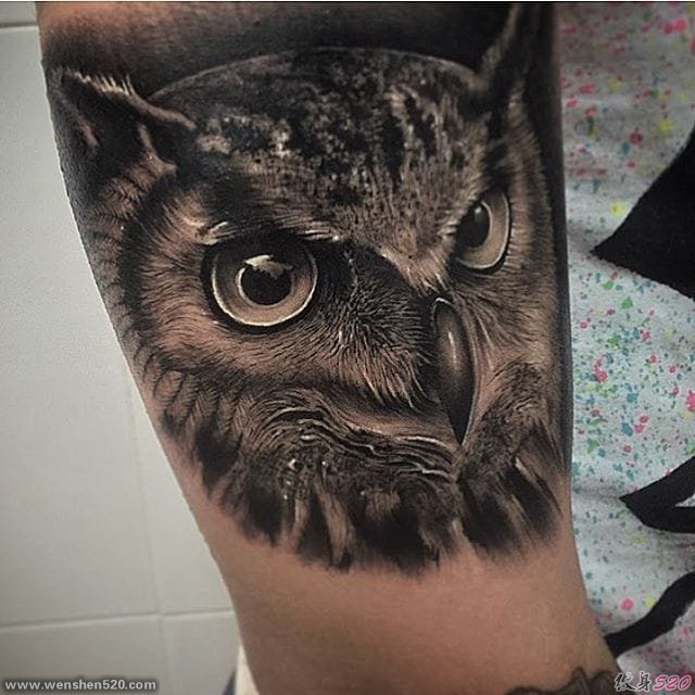 手臂上令人惊叹的黑灰色现实主义动物纹身图案来自塞缪尔