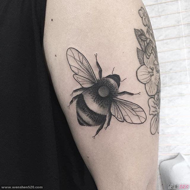 微妙的黑色点刺动物纹身图案来自灰蒂姆林