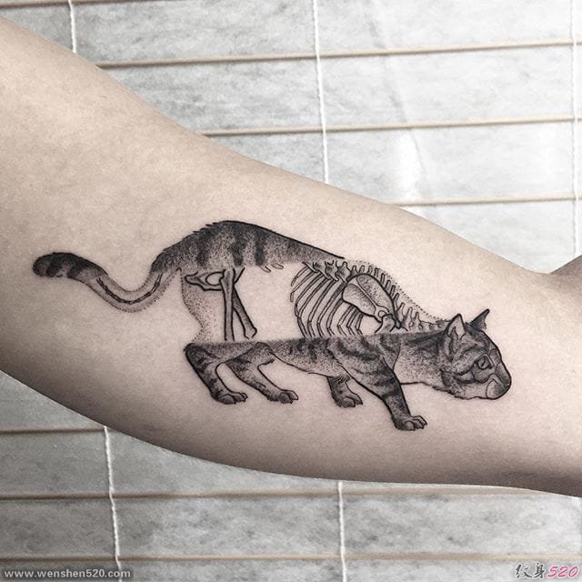 微妙的黑色点刺动物纹身图案来自灰蒂姆林