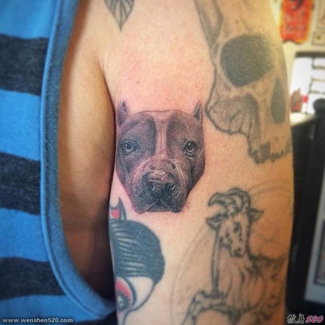 最甜的女生小清新宠物画像纹身图案