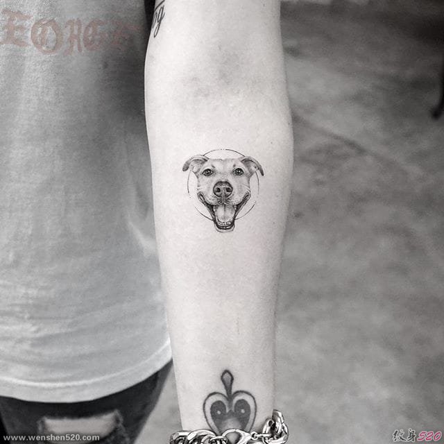 最甜的女生小清新宠物画像纹身图案