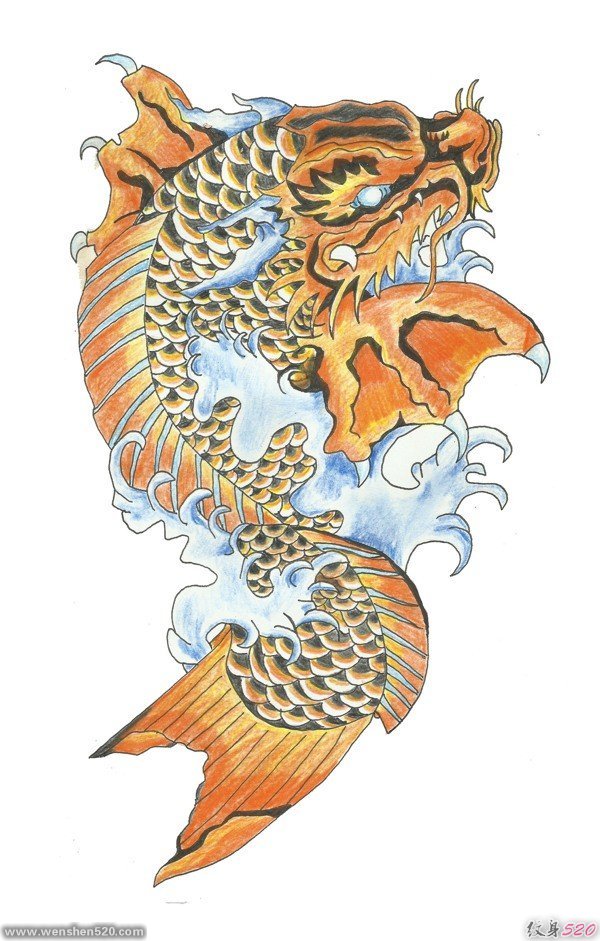 漂亮的彩色鲤鱼纹身图案手稿