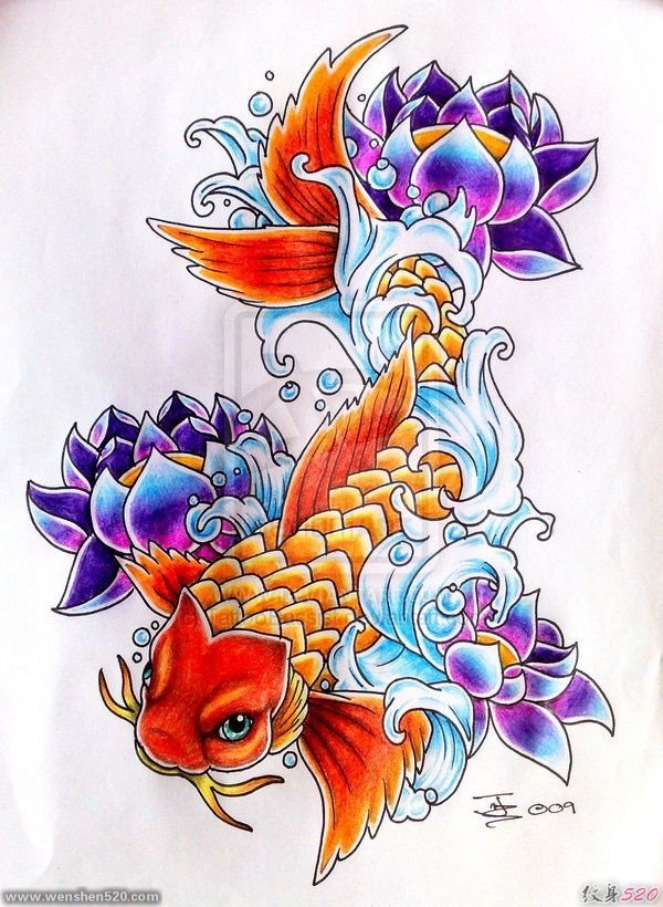 漂亮的彩色鲤鱼纹身图案手稿