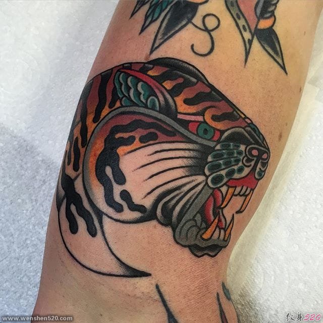 休·谢尔顿的精致独特的传统纹身图案