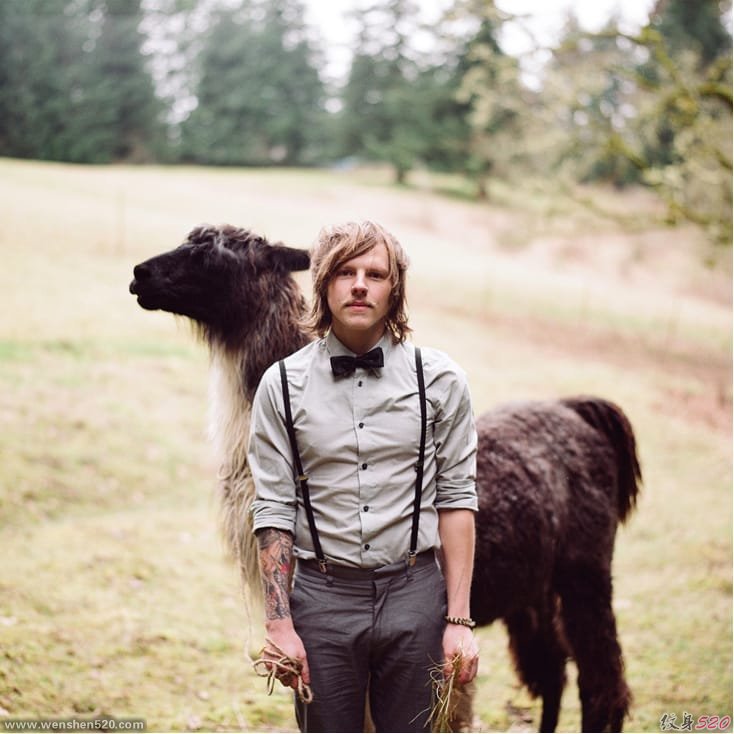 13款可爱的无峰骆驼纹身图案