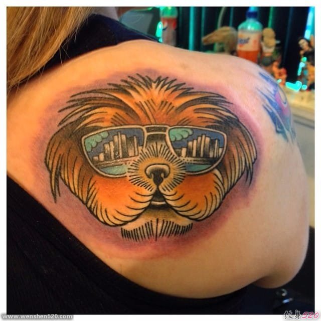 10款超可爱的狮子狗纹身图案
