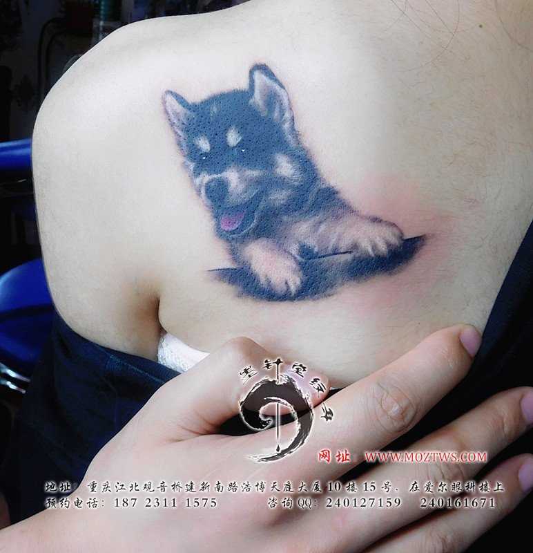 左胸部旁可爱的宠物狼狗纹身图案_重庆墨针堂纹身工作室