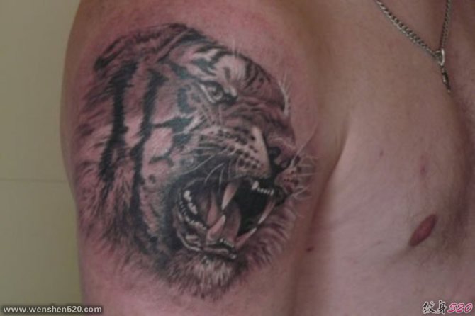 超逼真现实风格老虎纹身图案