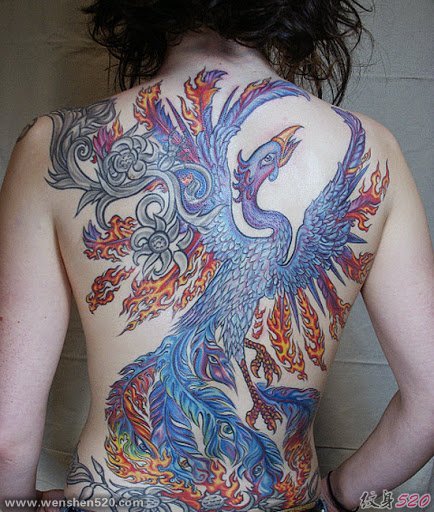女性背上美丽的凤凰纹身