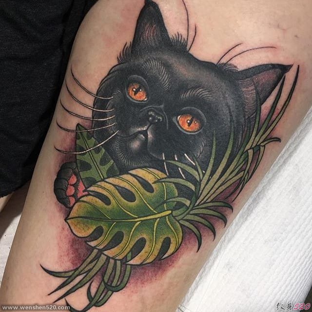 可爱的宠物肖像纹身图案来自克莱尔