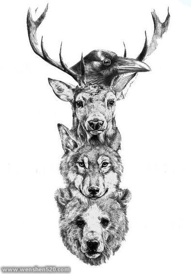 花和动物图腾纹身手稿