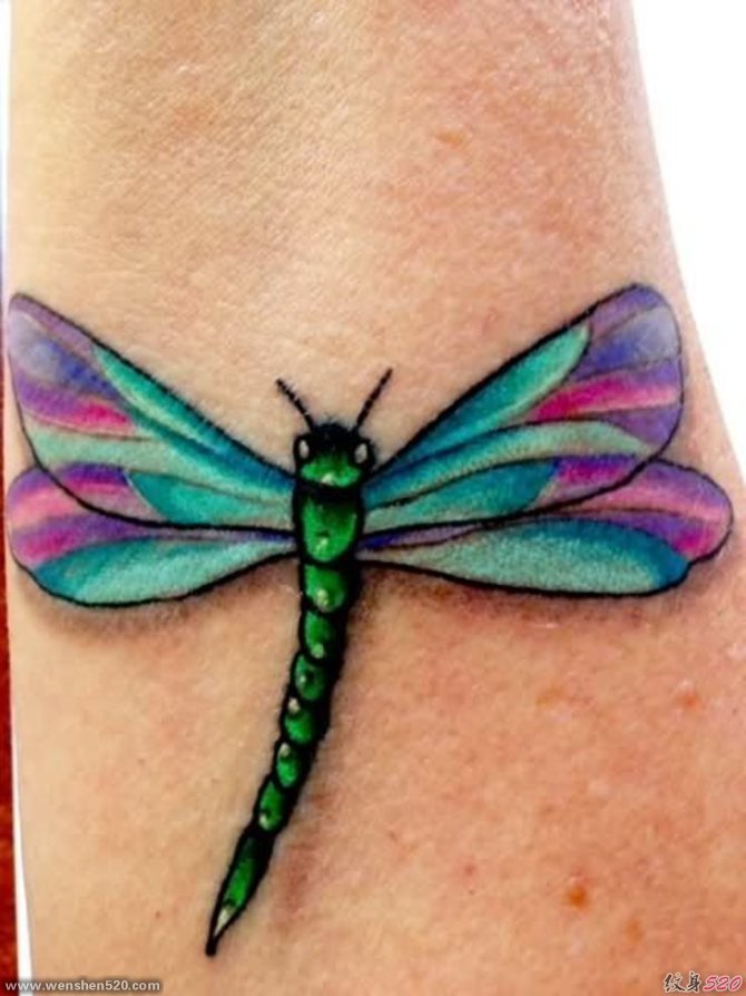 女人喜欢的漂亮的蜻蜓纹身图案