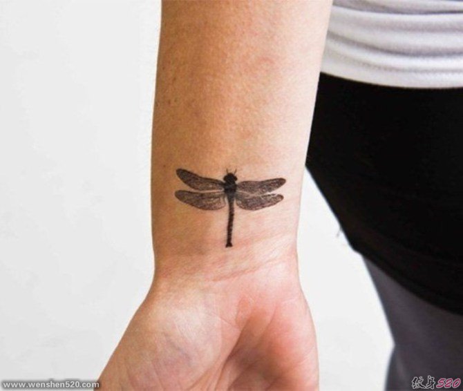 女人喜欢的漂亮的蜻蜓纹身图案